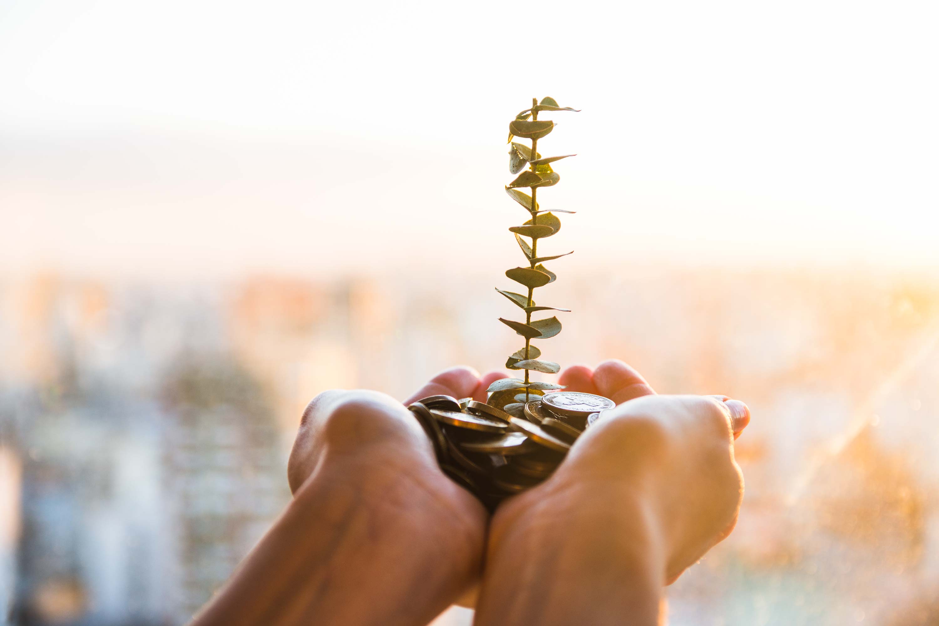 Alasan Pentingnya Investasi Sejak Dini — Tips Bisnis
