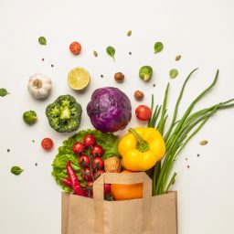 Modal Usaha Sayuran