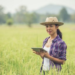 Usaha yang Cocok untuk Pemula di Pedesaan