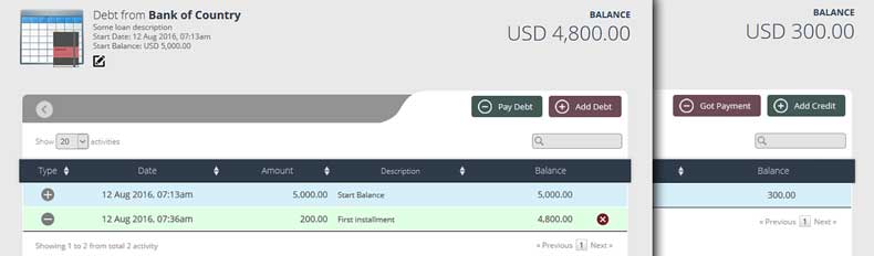 credit debt detail